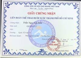 Giấy chứng nhận bơi lội TRONG SWIMMING